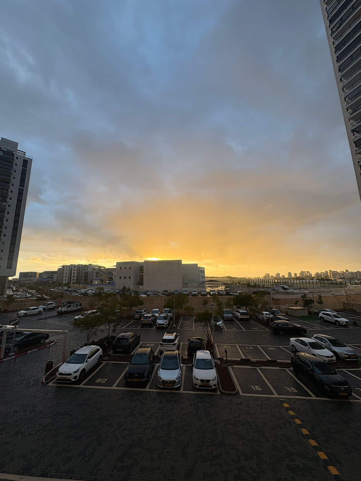 WhatsApp Image 2026-01-14 at 16.49.31 (2)