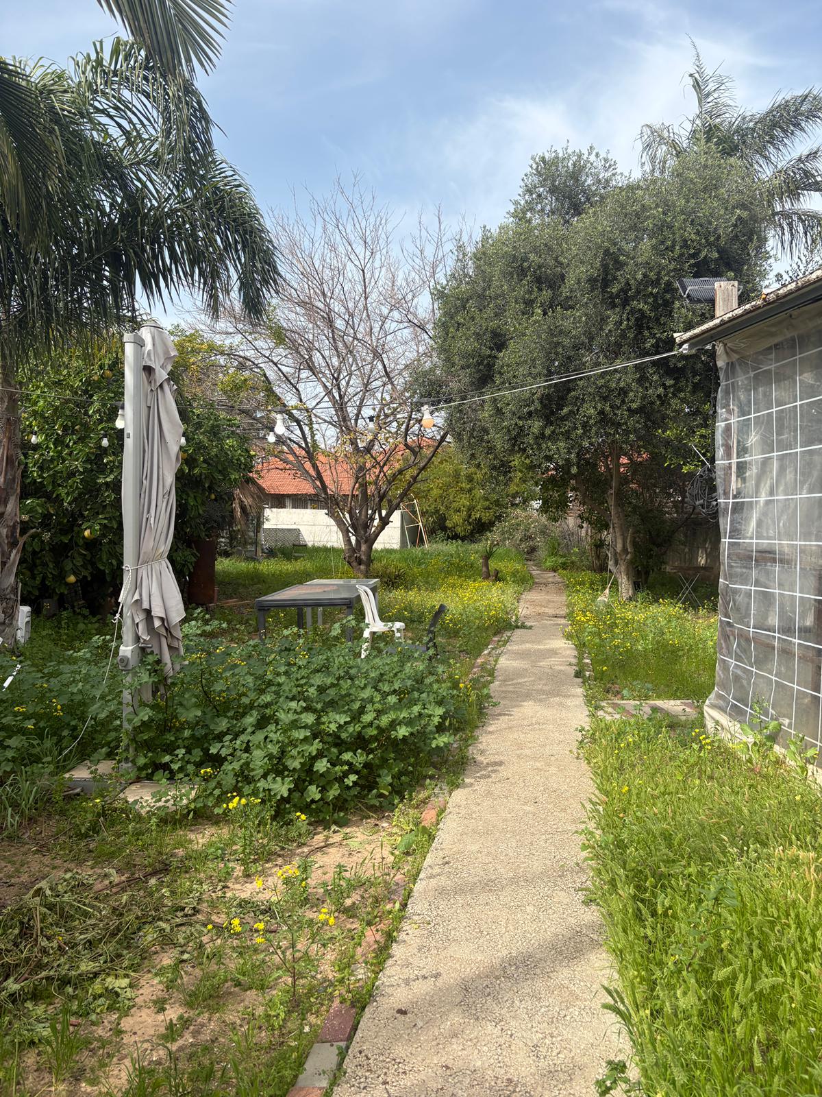 WhatsApp Image 2026-02-09 at 13.25.17 (1)