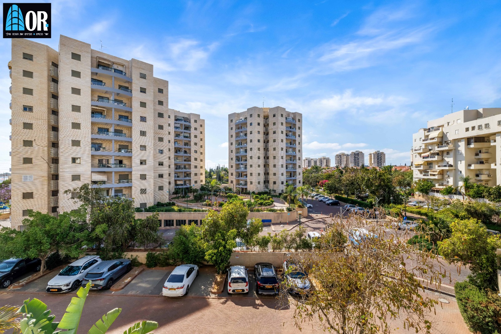 הכינור 6 ראשלצ (4)